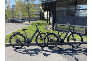 Nyhetene Taksvale og Isfugl