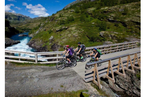 Rallarvegen - Haugastøl til Flåm