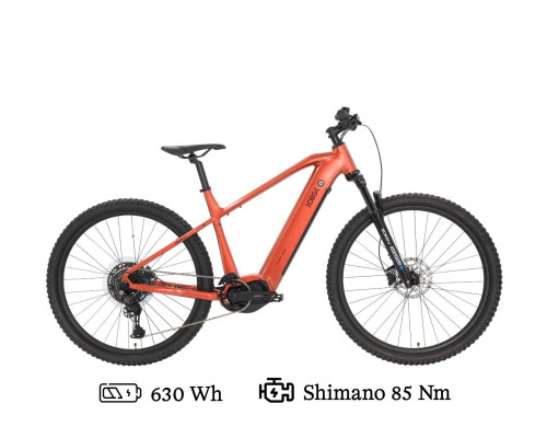 DBS Fjellvåk T6.3