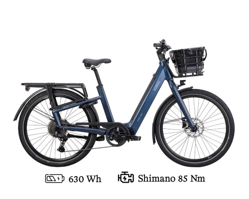 DBS Fossekall T6.1 