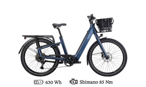 DBS Fossekall T6.1 