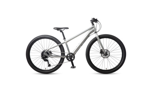 DBS Superlight 26"