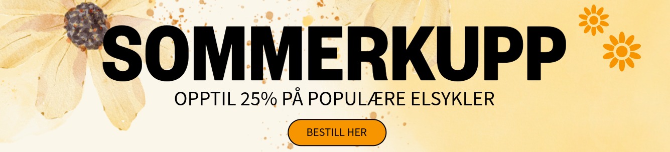 Sommerkupp - opptil 25% p&aring; popul&aelig;re elsykler