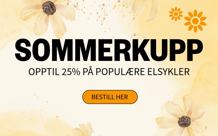 Sommerkupp - opptil 25% p&aring; popul&aelig;re elsykler